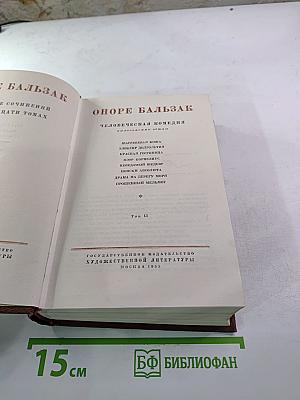 Человеческая комедия. Философские этюды. Том 13
