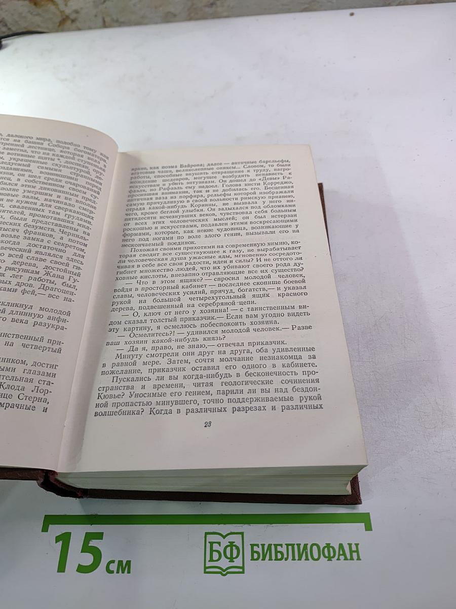 Человеческая комедия. Философские этюды. Том 13