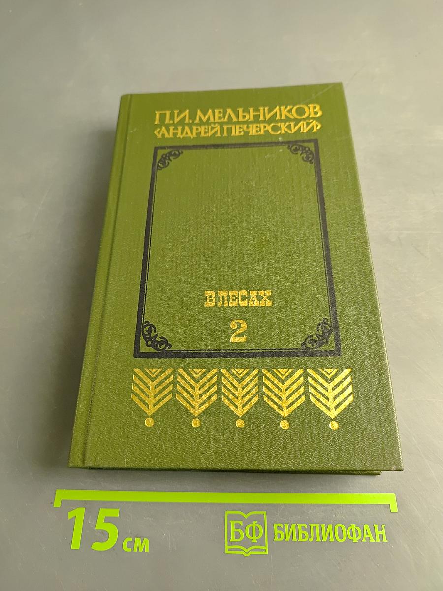 В лесах. Книга вторая