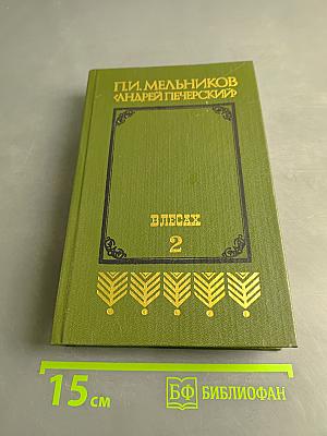 В лесах. Книга вторая