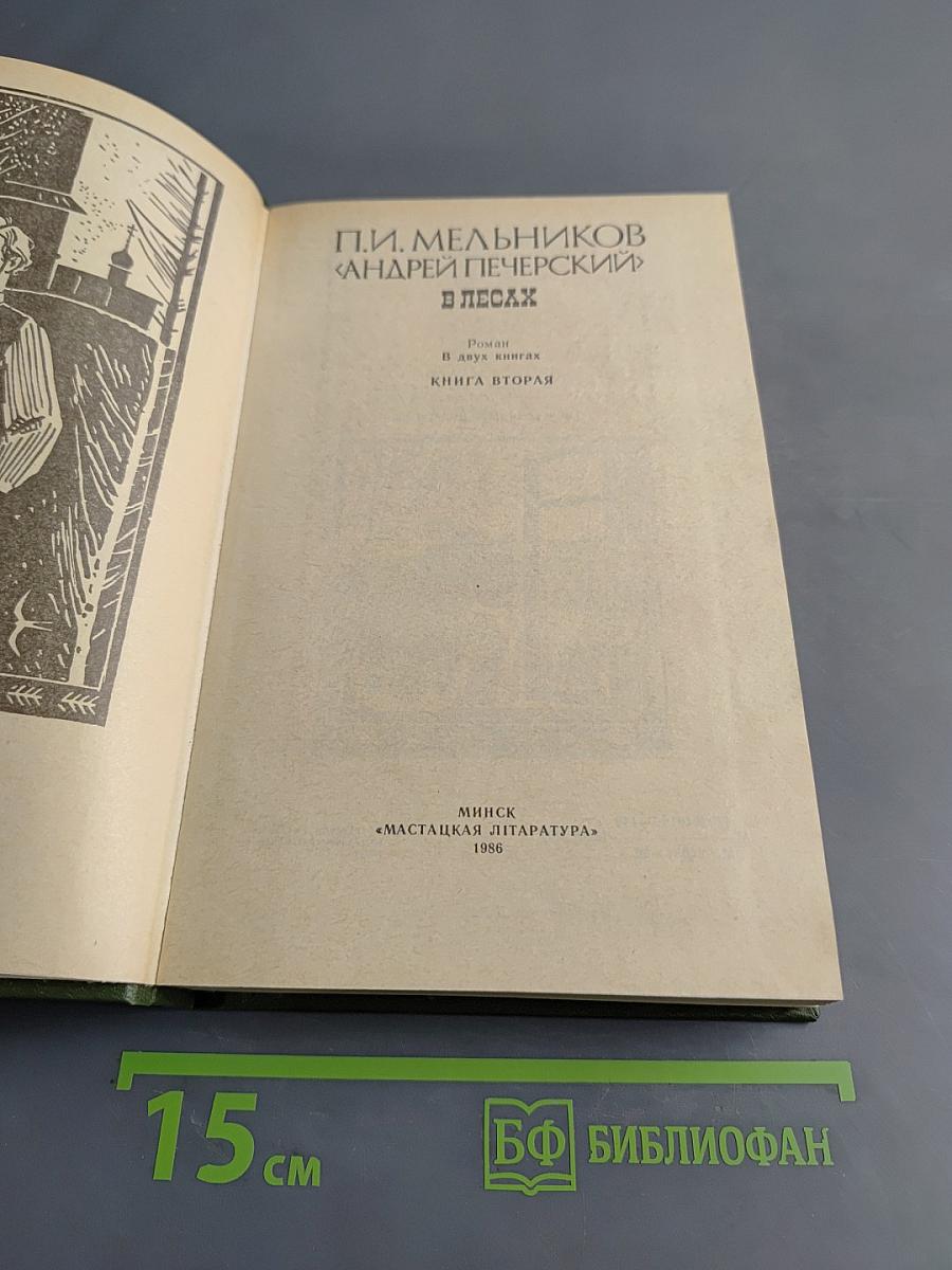 В лесах. Книга вторая