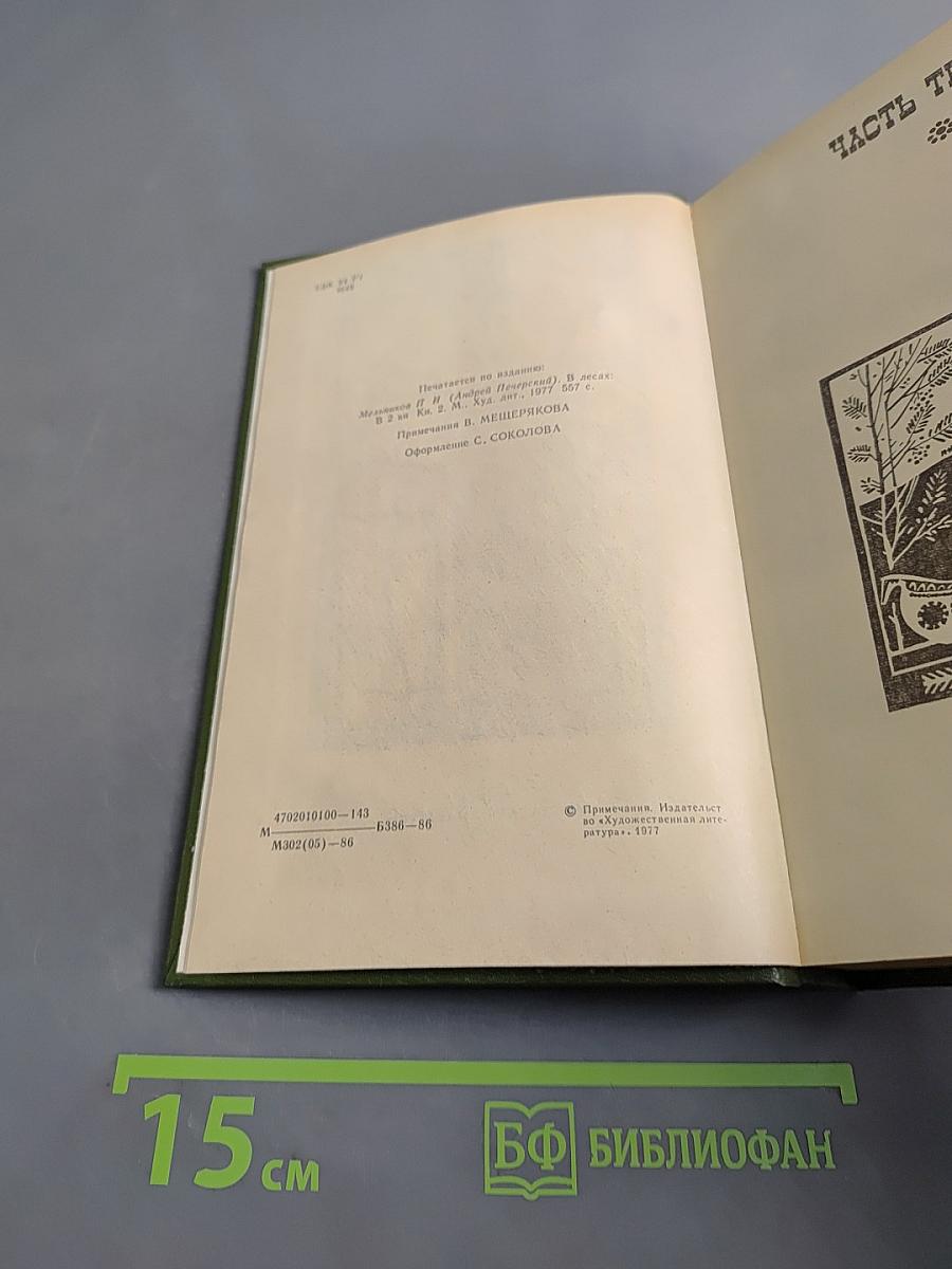 В лесах. Книга вторая
