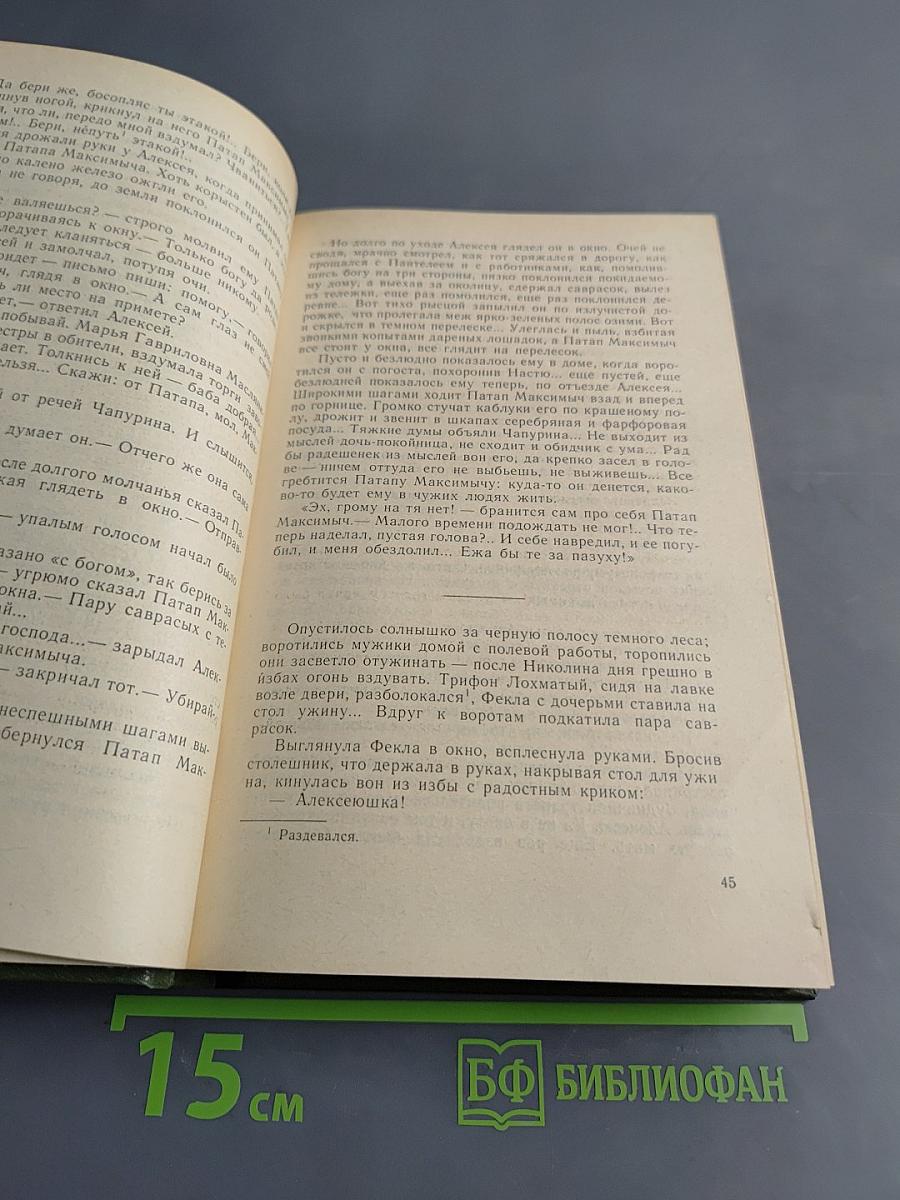В лесах. Книга вторая