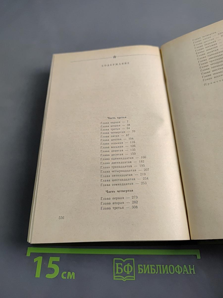 В лесах. Книга вторая