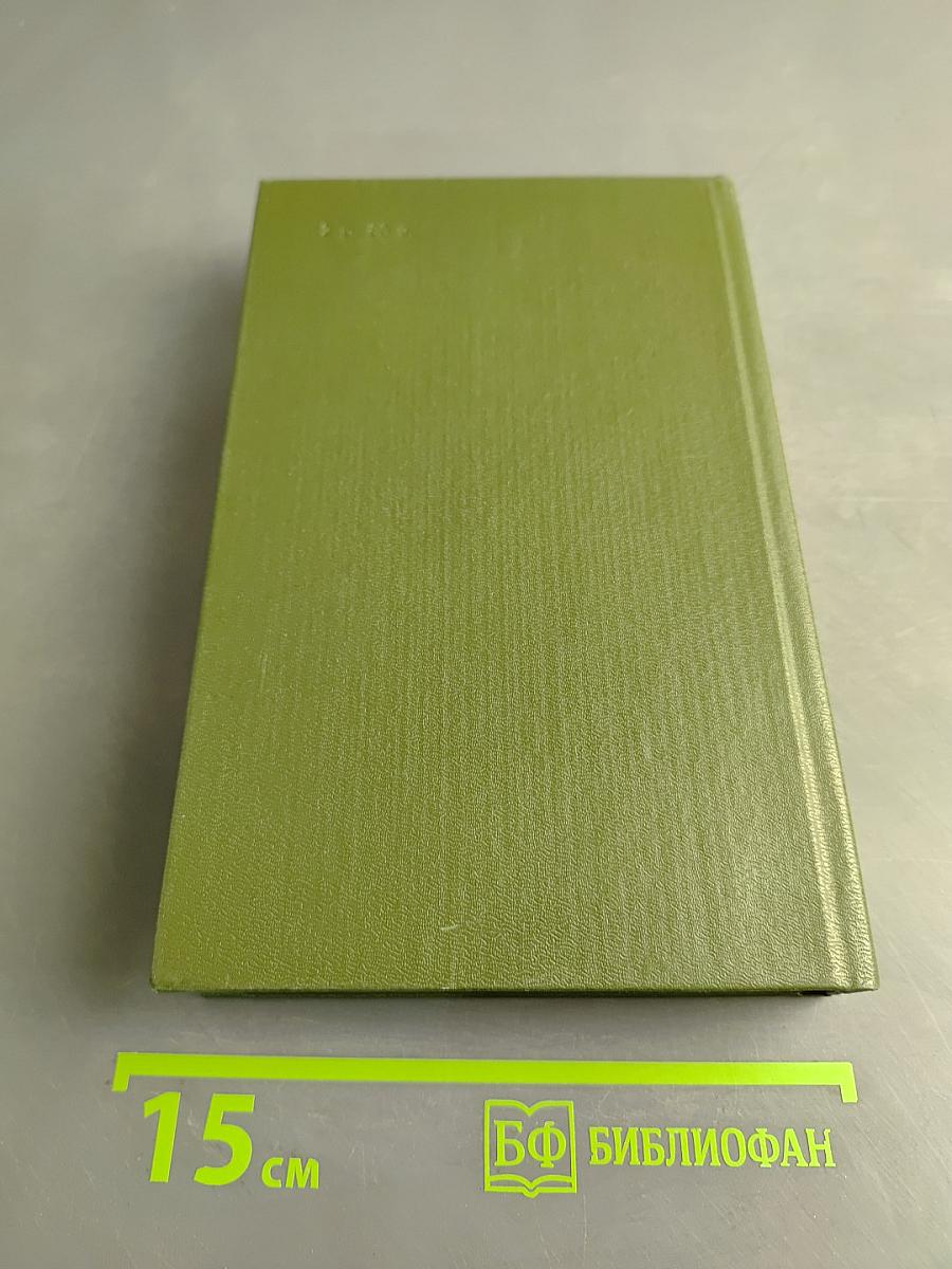 В лесах. Книга вторая