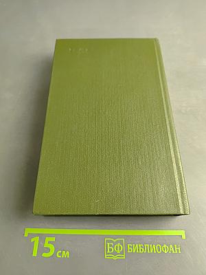 В лесах. Книга вторая