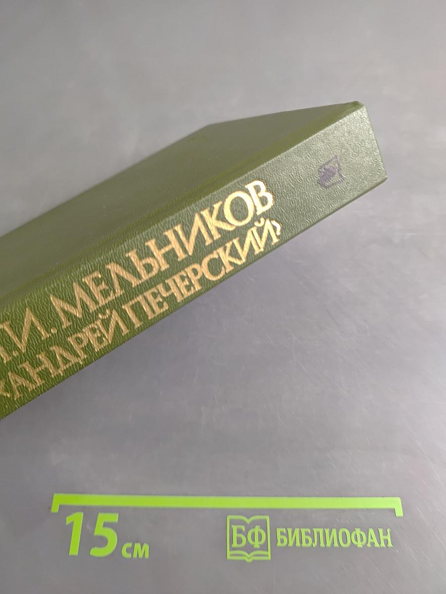 В лесах. Книга вторая