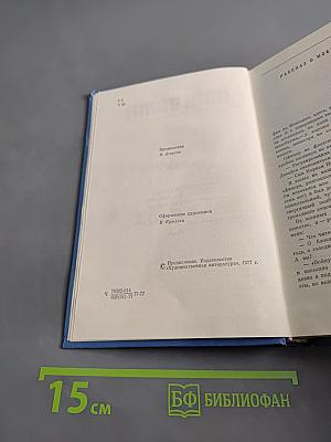 Балтийское небо. Роман. Том первый