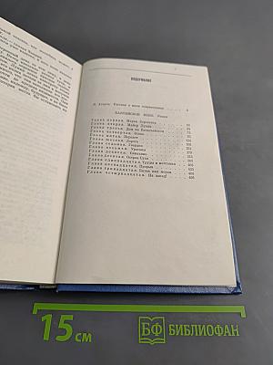 Балтийское небо. Роман. Том первый