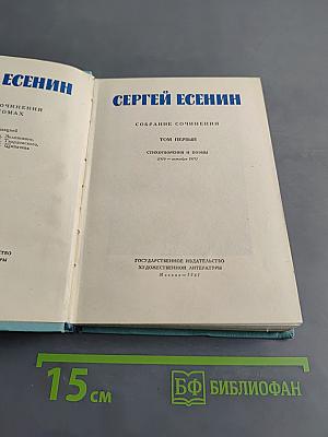 Собрание сочинений. Том первый. Стихотворения и поэмы (1910 - октябрь 1917)