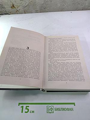 Арена. Политический детектив