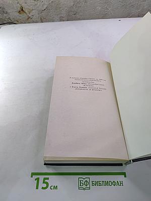 Арена. Политический детектив