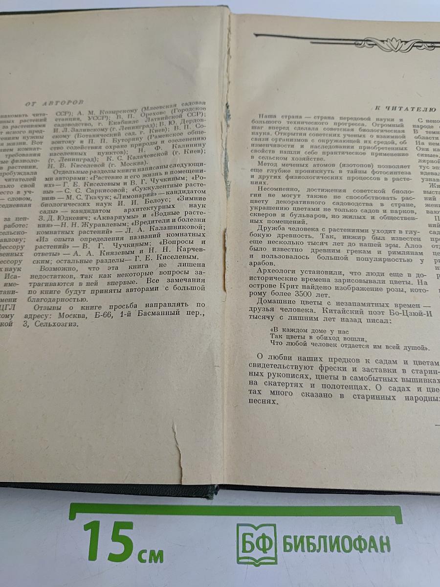 Комнатное садоводство