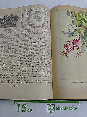 Комнатное садоводство