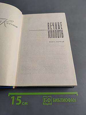 Вечные хлопоты. Книга первая