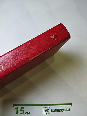 Судный день