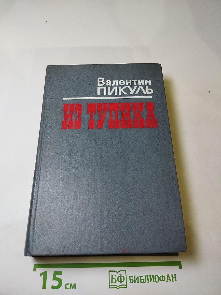 Из тупика. Роман-хроника. Том первый. Проникновение