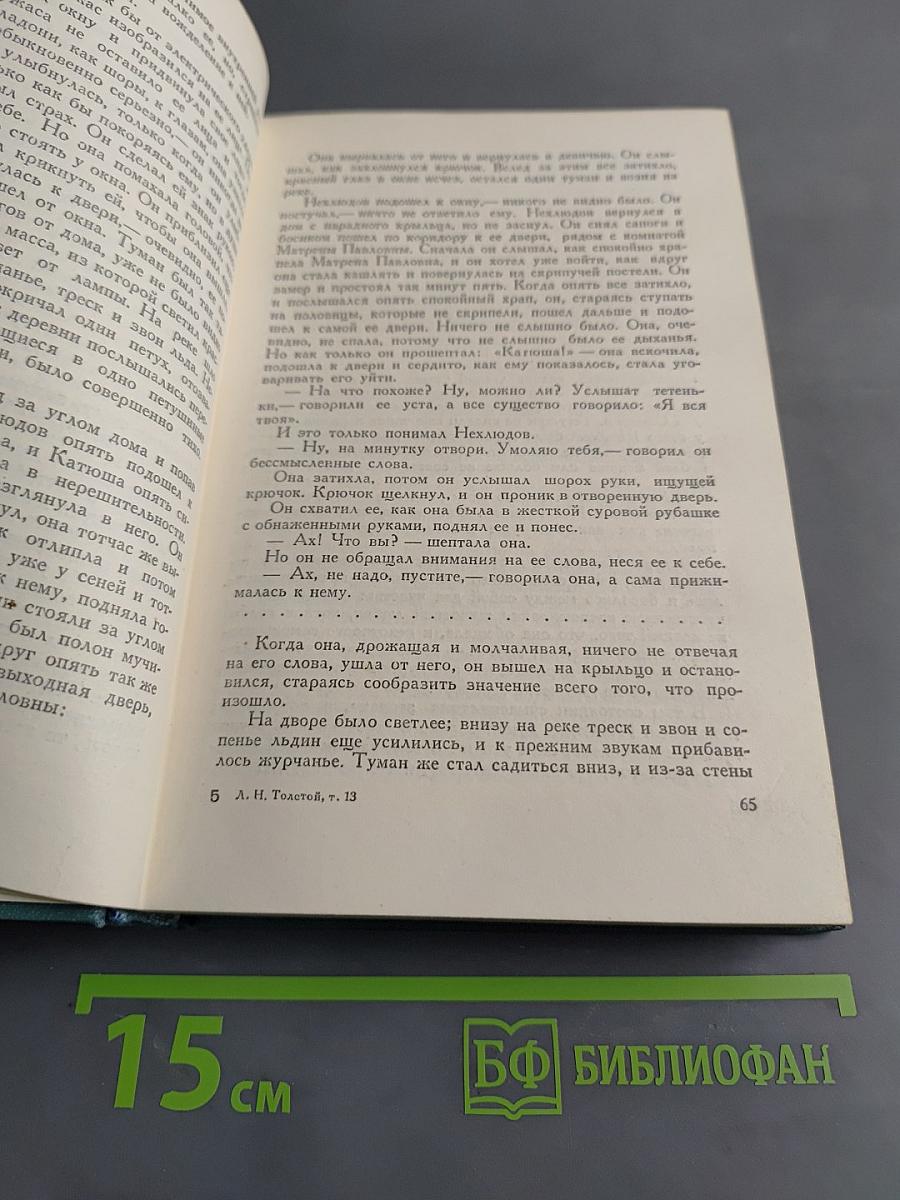 Собрание сочинений в четырнадцати томах. Том тринадцатый. Воскресение