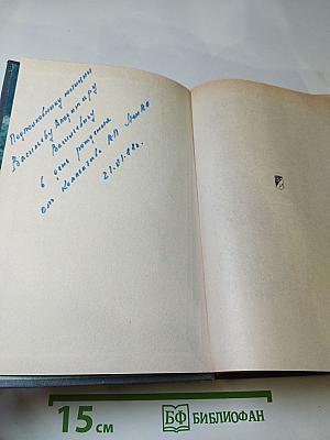 Из тупика. Роман-хроника. Том первый. Проникновение