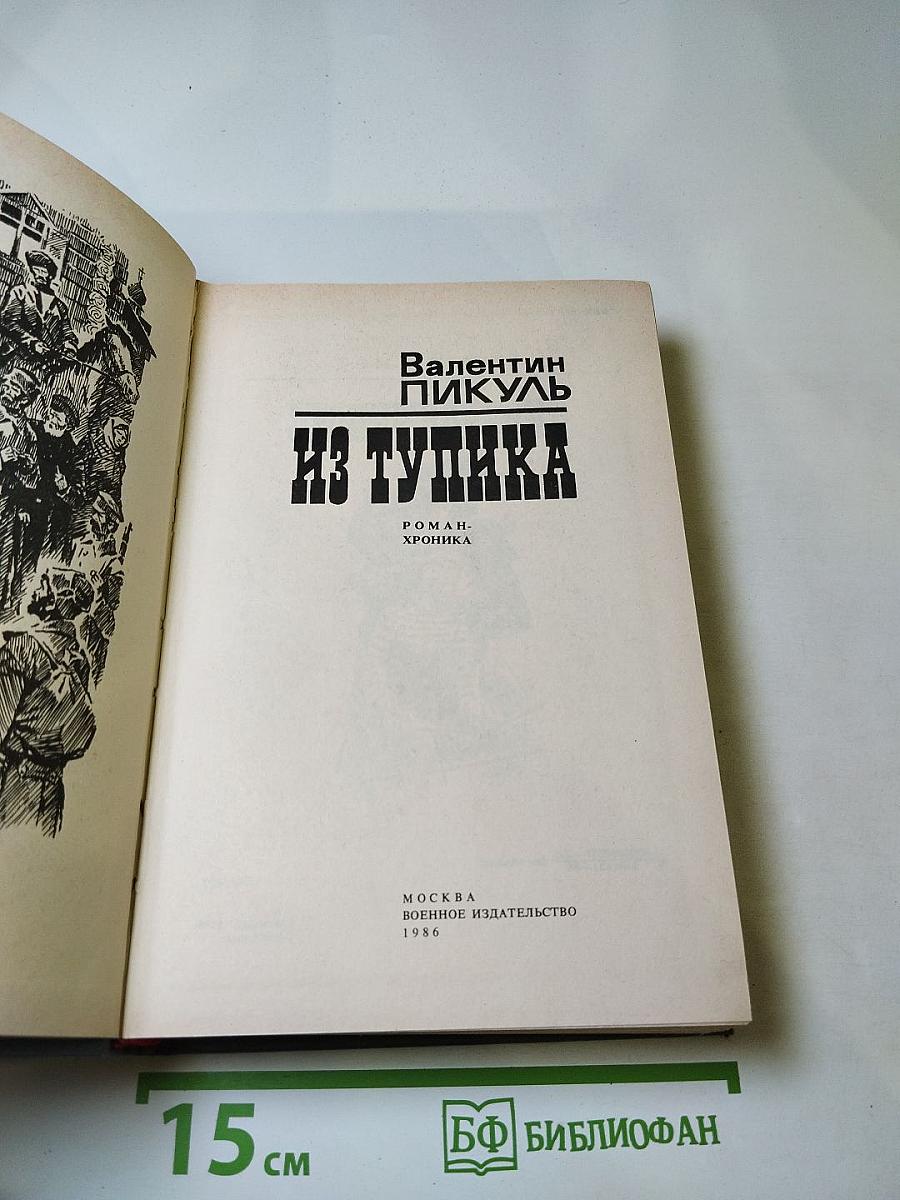 Из тупика. Роман-хроника. Том первый. Проникновение