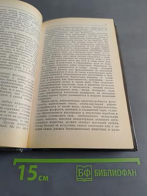 Жизнь океанских глубин