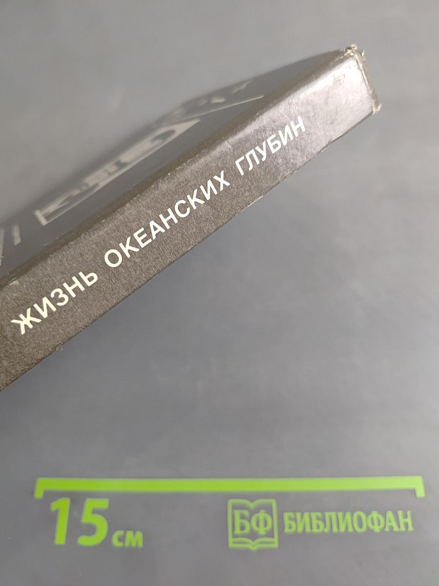 Жизнь океанских глубин