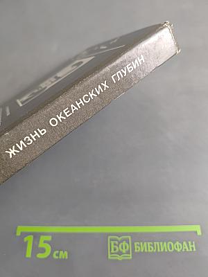 Жизнь океанских глубин