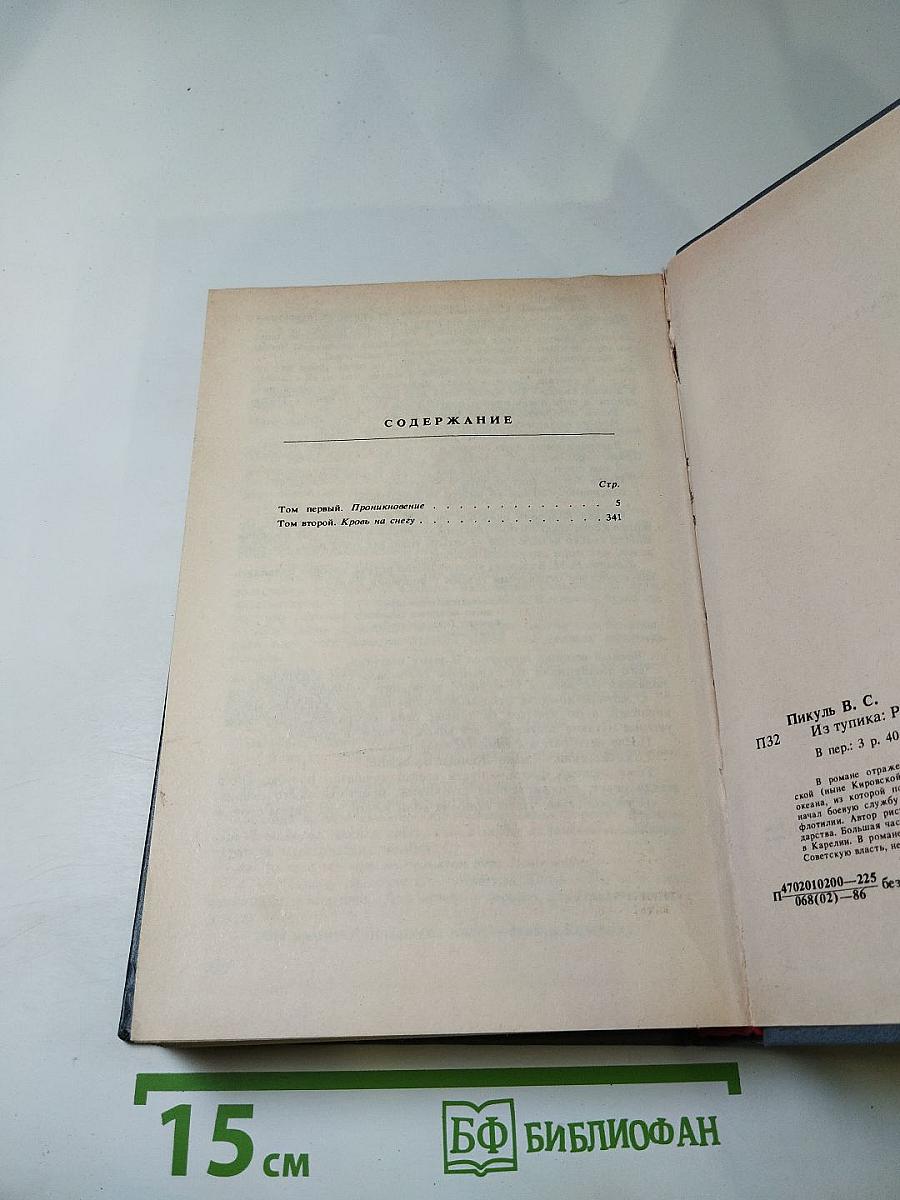 Из тупика. Роман-хроника. Том первый. Проникновение