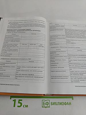 Бухгалтерская (финансовая) отчетность
