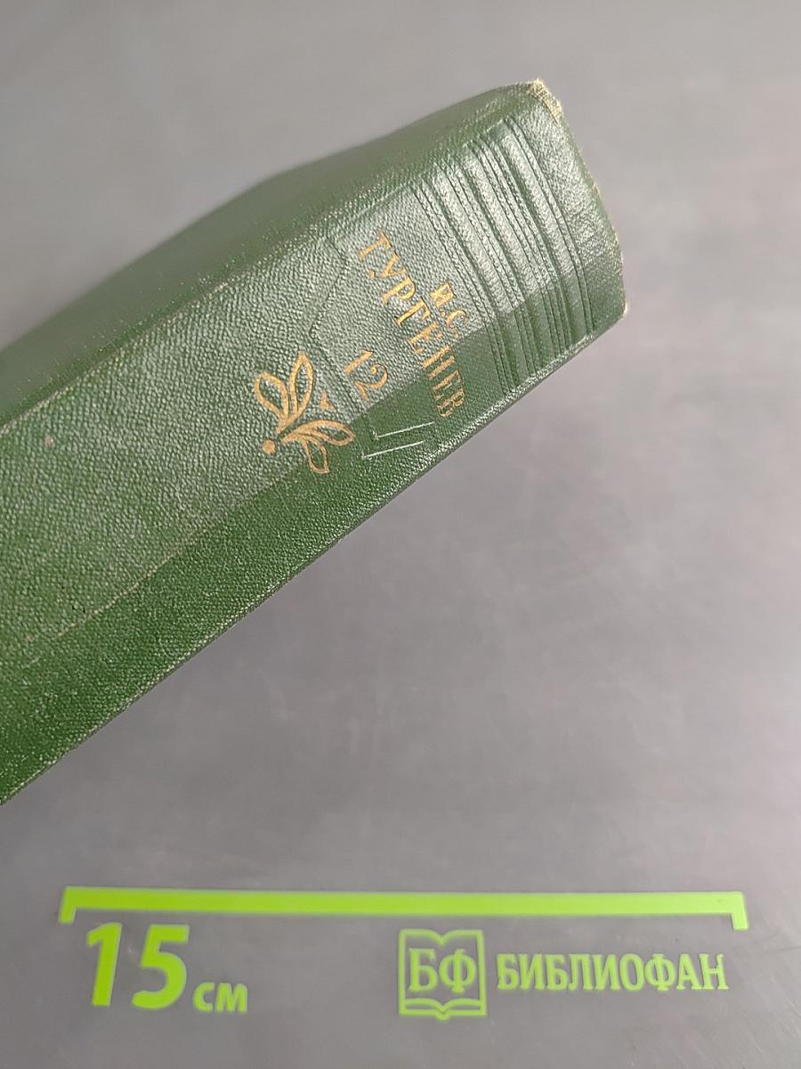 Собрание сочинений. Том двенадцатый. Письма 1831-1858