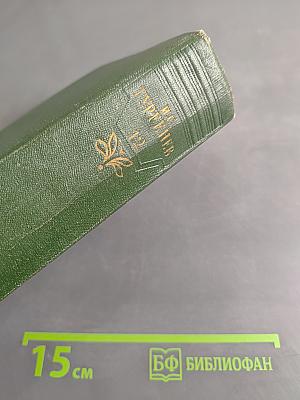 Собрание сочинений. Том двенадцатый. Письма 1831-1858