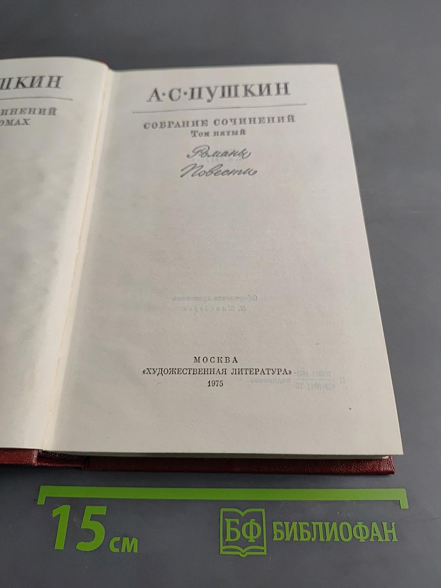 Собрание сочинений. Том пятый. Романы и повести