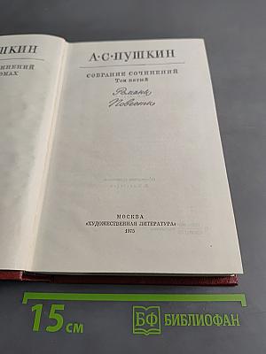 Собрание сочинений. Том пятый. Романы и повести
