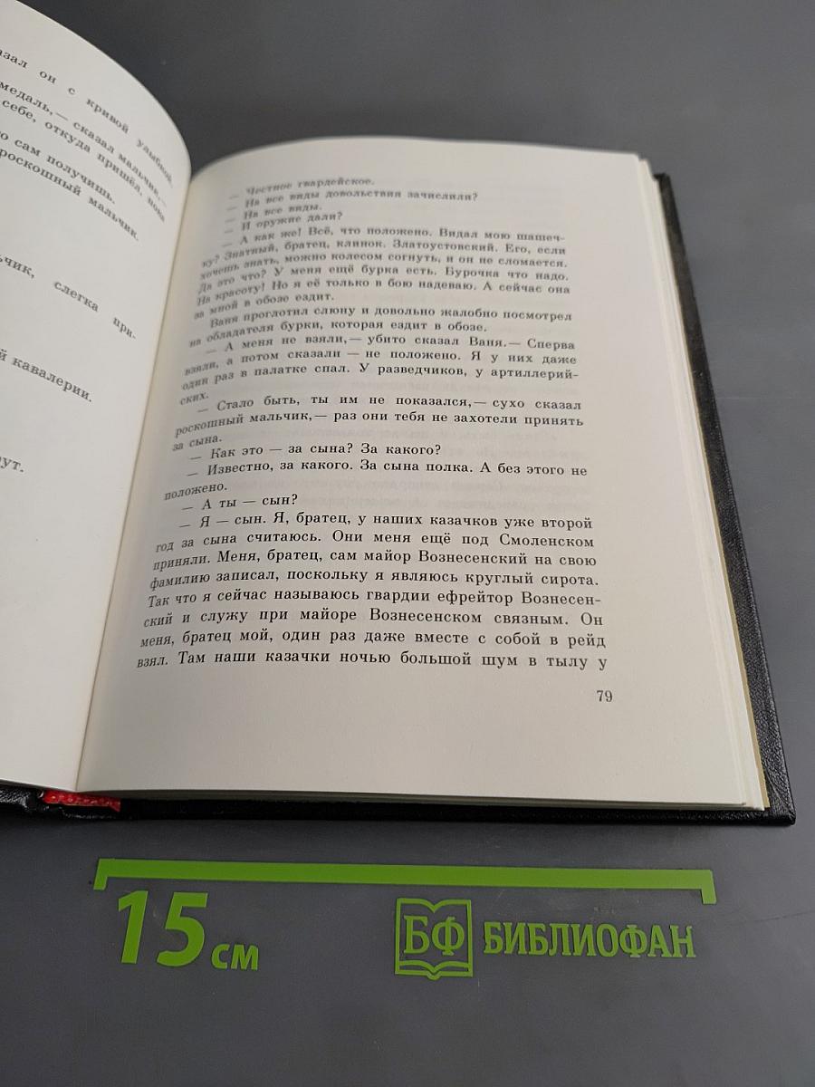 Сын полка
