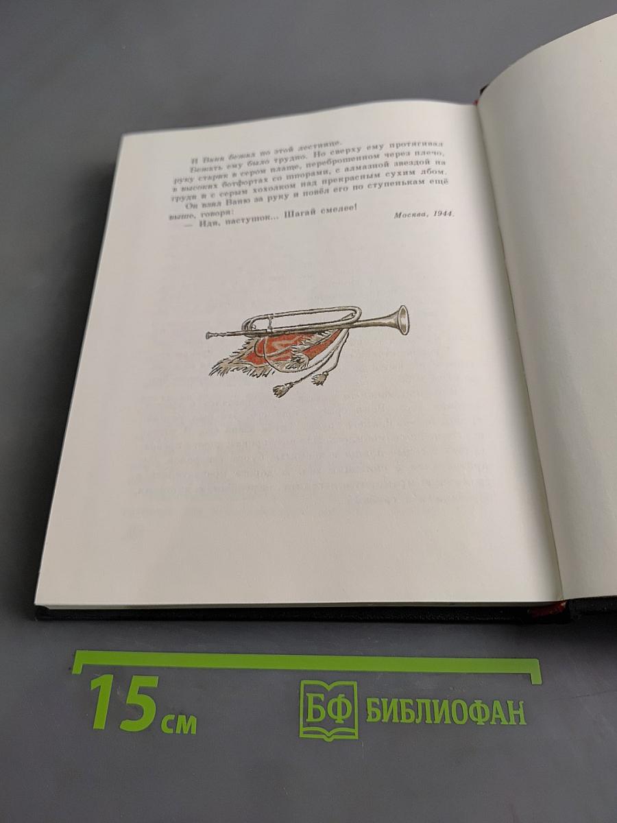 Сын полка