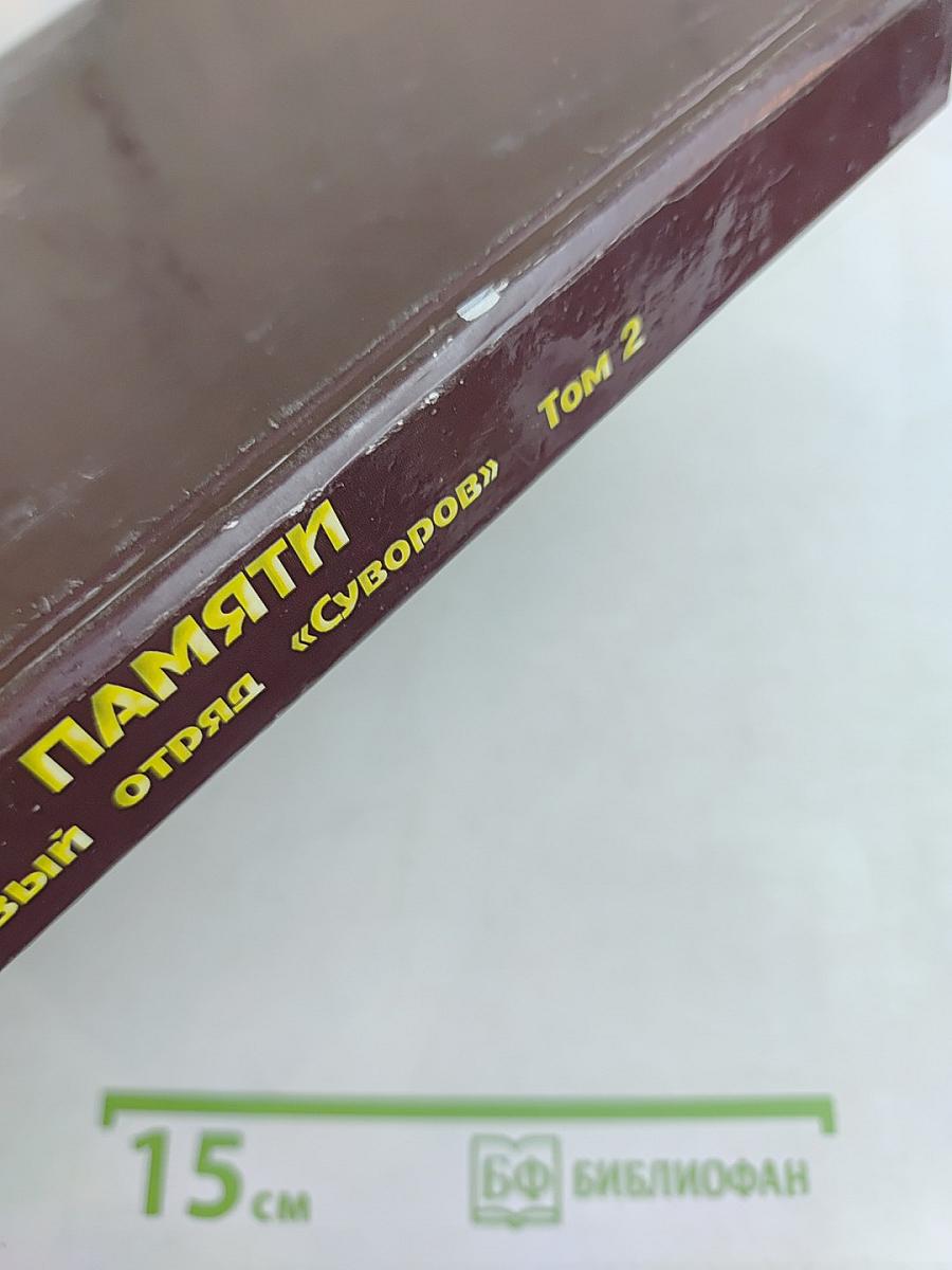 Книга памяти. Поисковый отряд «Суворов». Том 2