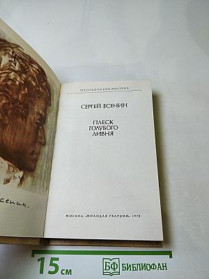 Плеск голубого ливня