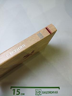 Плеск голубого ливня