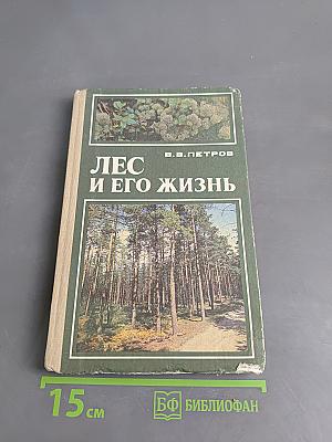 Лес и его жизнь