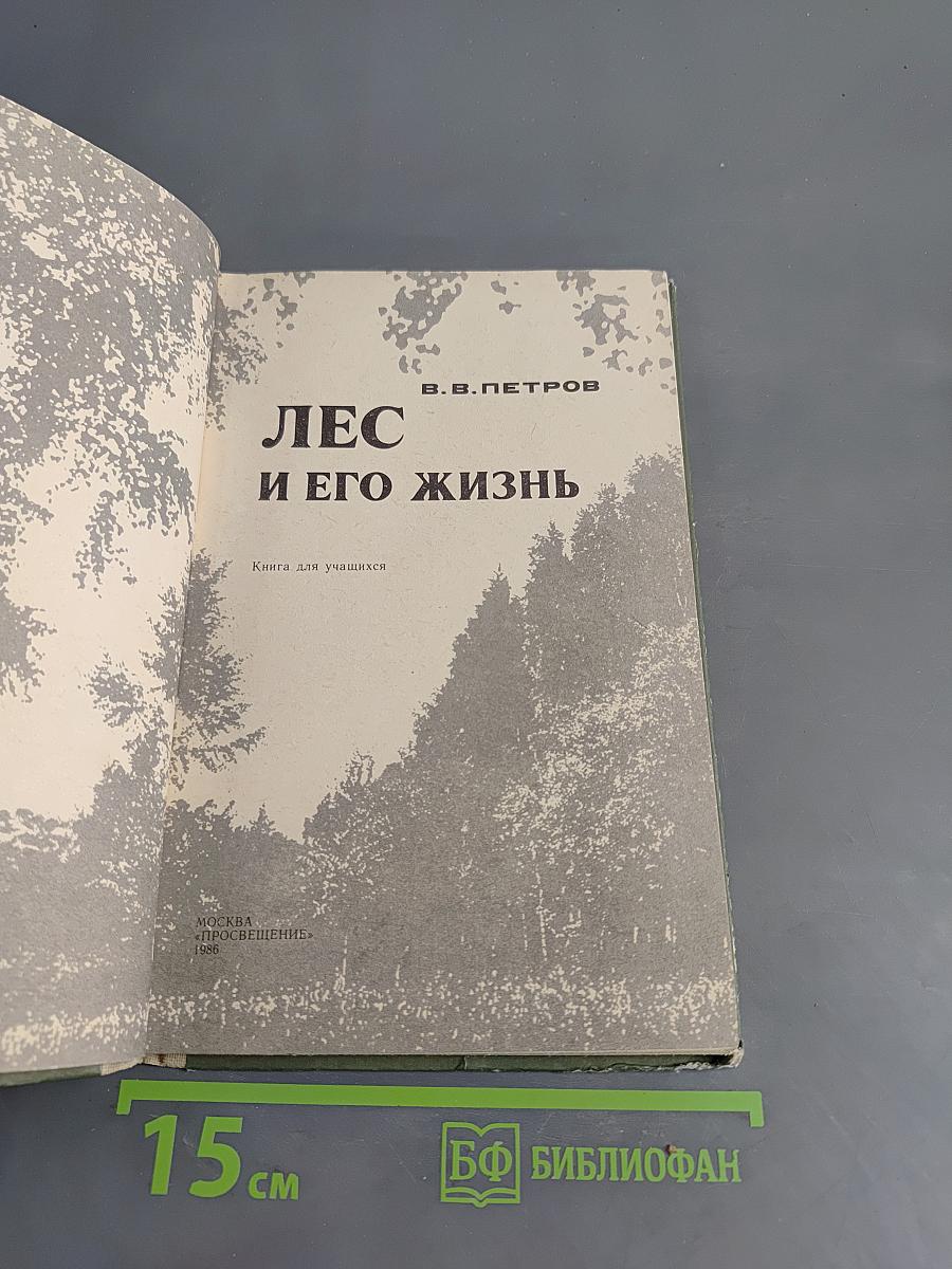Лес и его жизнь