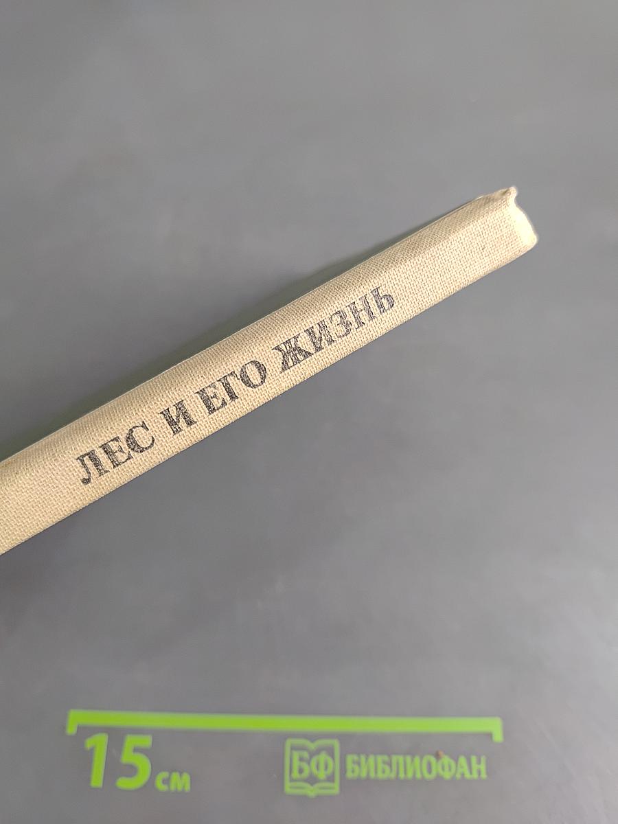 Лес и его жизнь