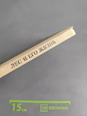 Лес и его жизнь