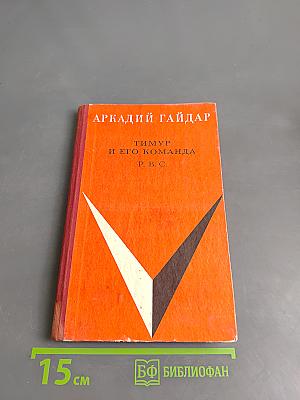 Тимур и его команда