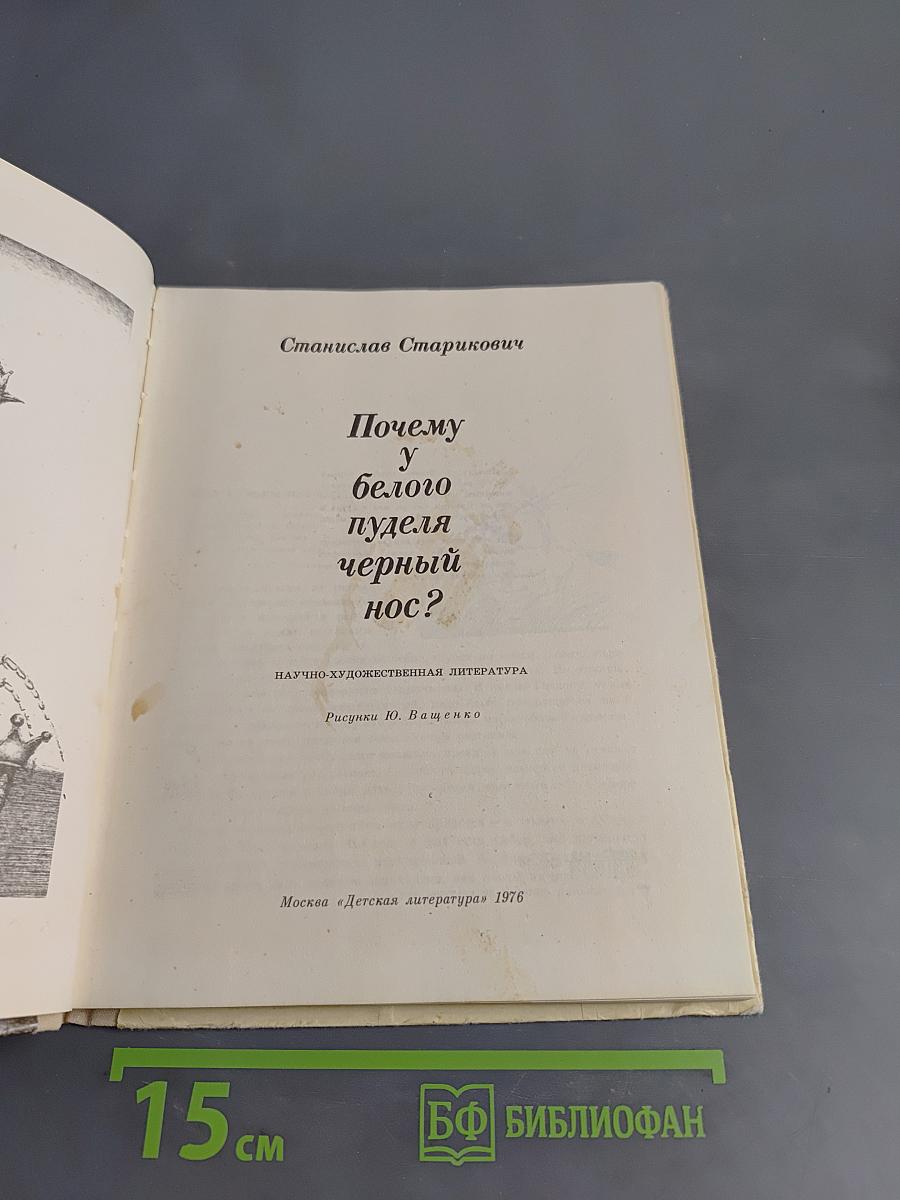 Почему у белого пуделя черный нос?
