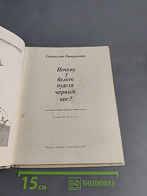 Почему у белого пуделя черный нос?
