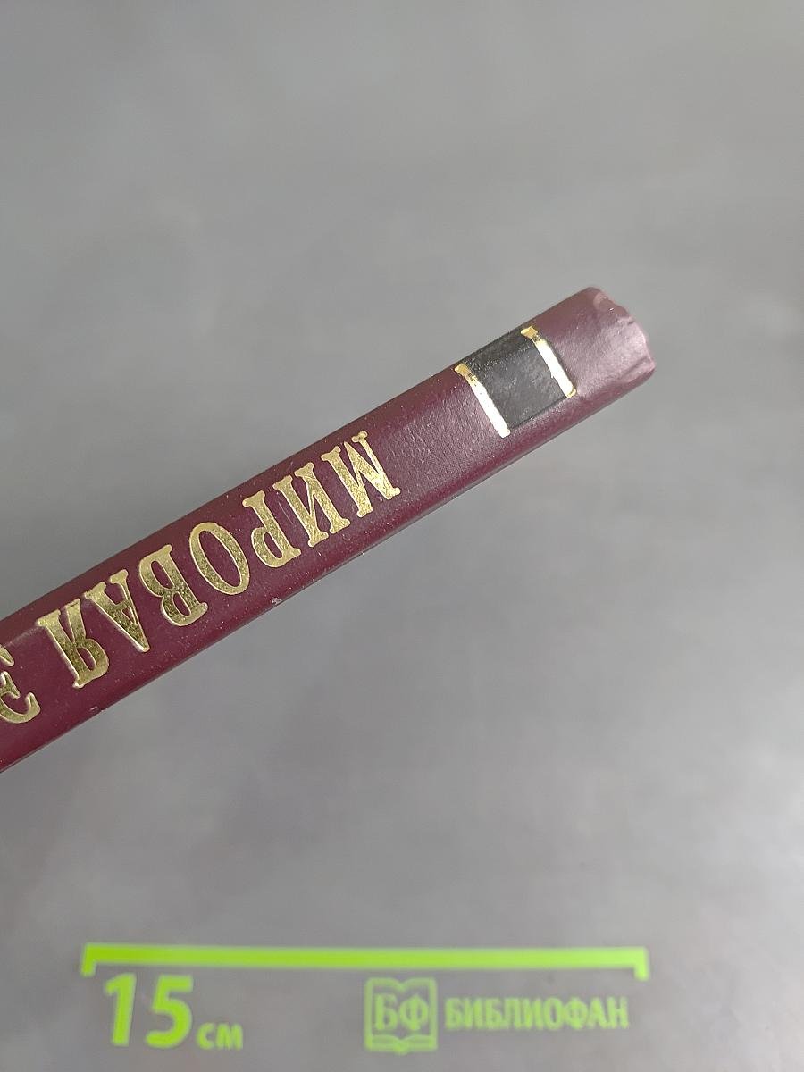 Мировая экономика