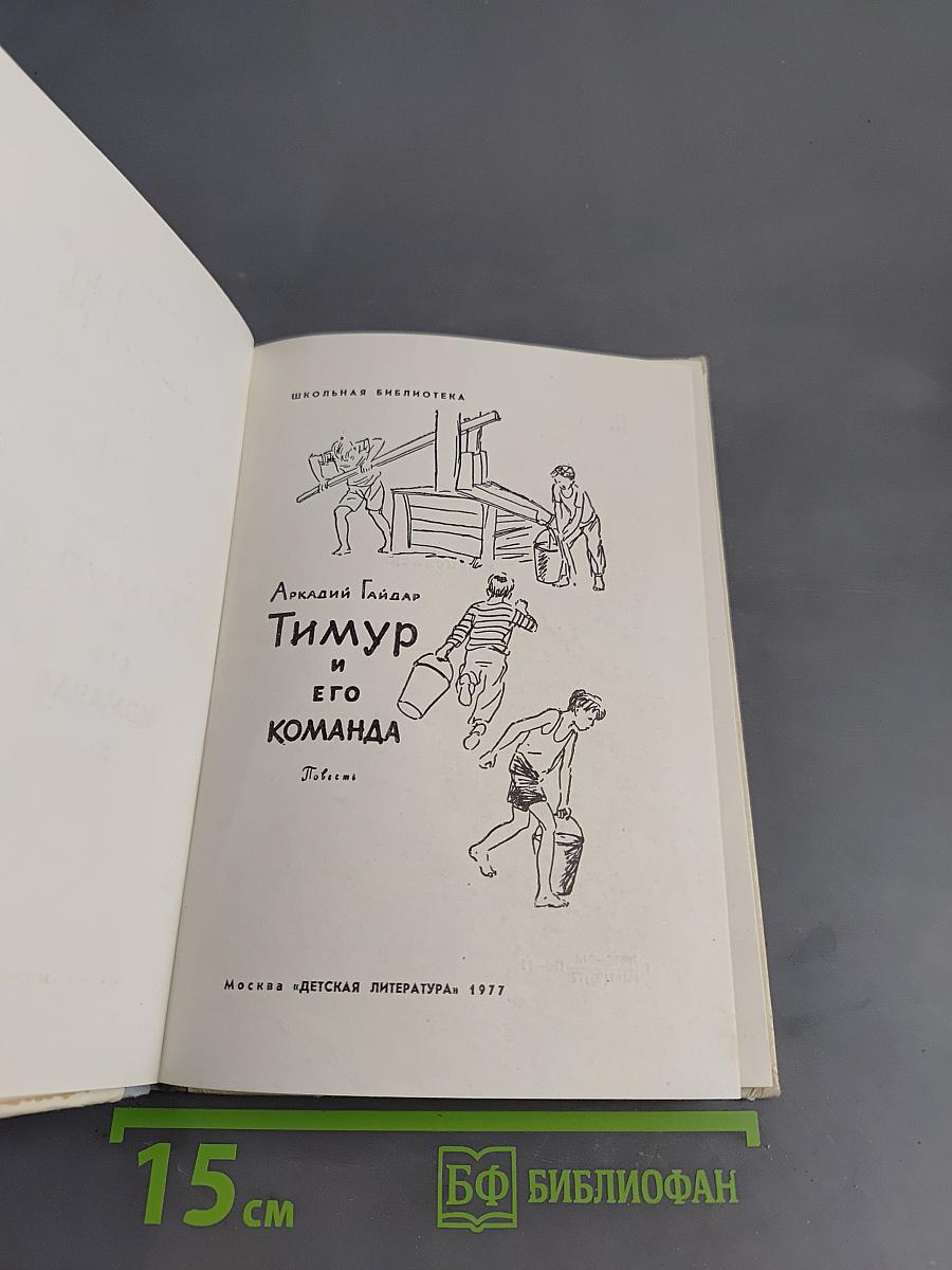 Тимур и его команда