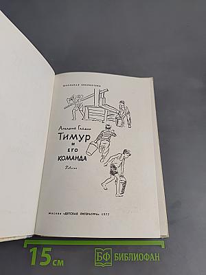 Тимур и его команда