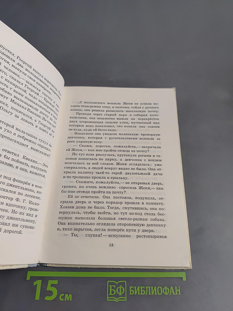 Тимур и его команда