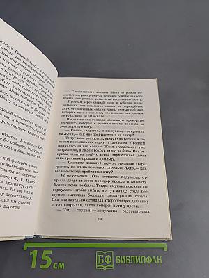 Тимур и его команда